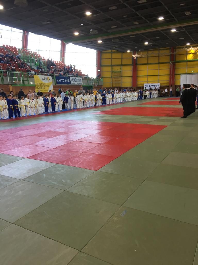 Gute Leistung unseres Judonachwuchses beim Kyu-Frühjahrsturnier in Leonding