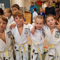 Drei 1. und drei 2. Plätze für unsere Nachwuchsjudokas beim Anfängerturnier in Schörfling